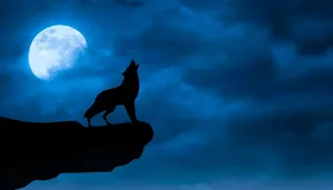 Black Wolf At The Cliff Wallpaper