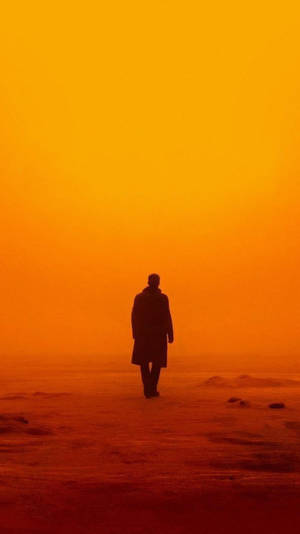 Blade Runner 2049 K In Desert Wallpaper