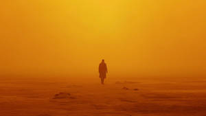 Blade Runner 2049 K In Desert Wallpaper