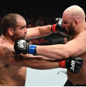 Blagoy Ivanov Fighting Wallpaper