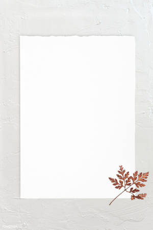 Blank White Frame With Leaf Wallpaper