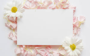 Blank White Paper Floral Aesthetic Wallpaper