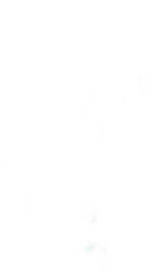 Blank White Portrait Wallpaper