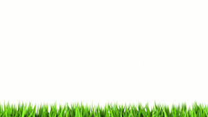 Blank White With Grass Wallpaper