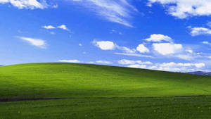 Bliss Microsoft Desktop Windows Xp Wallpaper