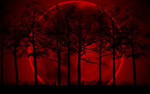 Blood Aesthetic Moon Forest Wallpaper