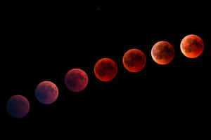 Blood Moon Phases Wallpaper