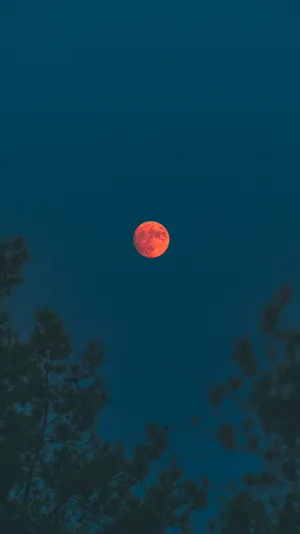 Blood Moon Photography Wallpaper
