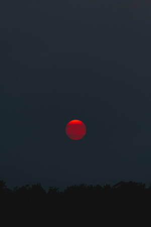 Blood Moon Pure Black Hd Phone Screen Wallpaper