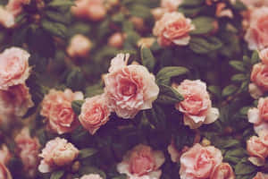 Blooming Vintage Flower Wallpaper