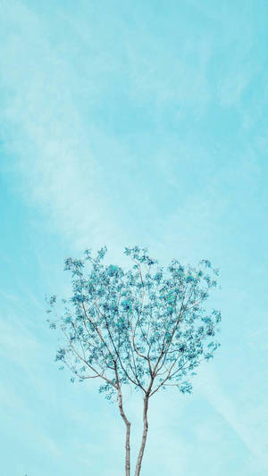 Blue Aesthetic Tree