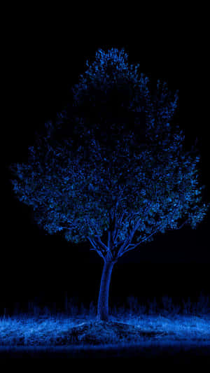 Blue Amoled Tree Wallpaper