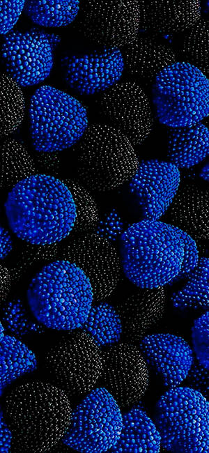 Blue And Black Berries On Samsung Full Hd Wallpaper