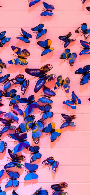 Blue And Pink Butterfly Aesthetic Wallpaper