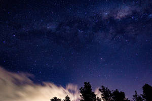 Blue And Purple Galaxy Above Trees Wallpaper