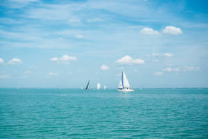 Blue And White Sailing Wallpaper