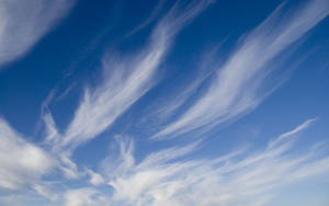 Blue And White View Of Cloudy Sky Wallpaper