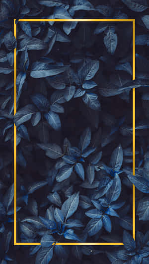 Blue Background 2160 X 3840 Wallpaper Wallpaper