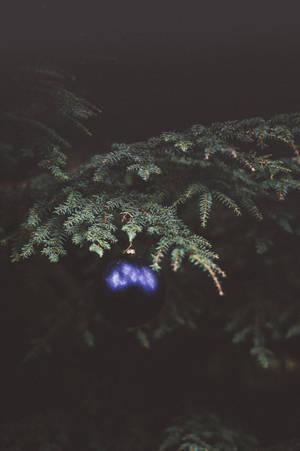 Blue Ball On Christmas Tree Wallpaper