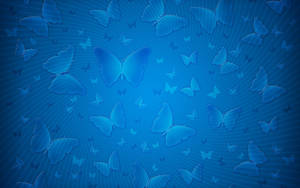 Blue Butterflies Plain Color Wallpaper