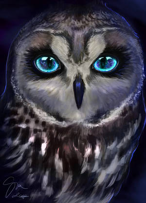 Blue-eyed Owl Art Wallpaper