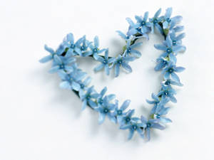 Blue Flower Heart Shape Wallpaper