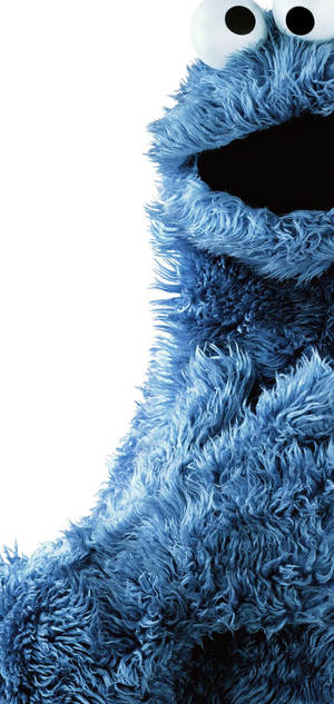 Blue Fluffy Cookie Monster Wallpaper