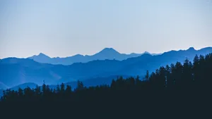 Blue Mountain Forest Trees Wallpaper