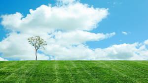 Blue Sky And Clouds In The Horizon Wallpaper