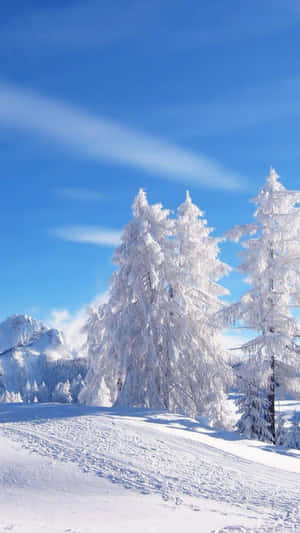 Blue Sky With Snow Falling Wallpaper