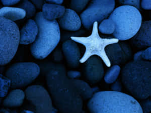 Blue Things Signal Creative Possibilities Wallpaper