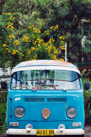 Blue Volkswagen Microbus