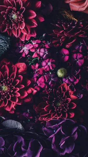 Blumen Flower Arrangement Style Wallpaper