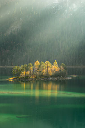 Blurry Green Lake Wallpaper