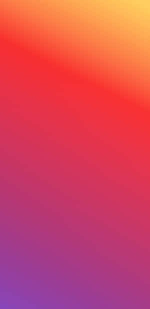 Bold And Vibrant Wallpaper