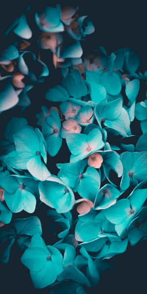 Bold, Beautiful And Resilient - A Close Up Of A Unique Teal Flower Wallpaper