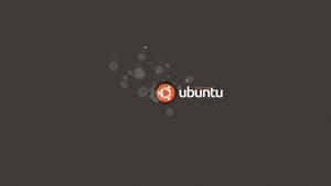 Bold, Modern And Bright Ubuntu 4k Wallpaper Wallpaper