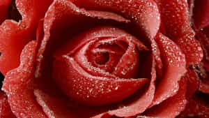 Bold Red Textured Wallpaper Wallpaper