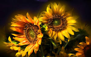 Bold Yellow Sunflower On Desktop Wallpaper