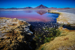 Bolivia Altiplano Lake Wallpaper