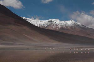 Bolivia Uyuni Mountain Range Wallpaper