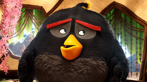 Bomb From The Angry Birds Movie Wallpaper