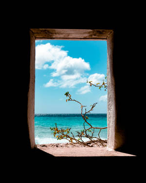 Bonaire Doorway Wallpaper