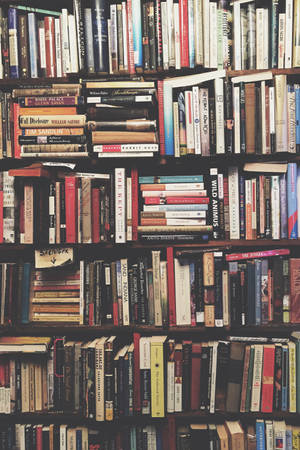 Bookshelf Fusty Books Wallpaper