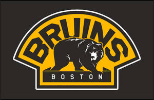 Boston Bruins Black Bear Wallpaper