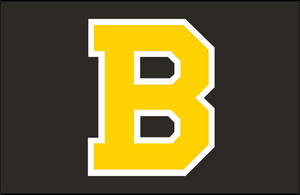Boston Bruins Yellow Letter Wallpaper