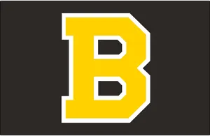 Boston Bruins Yellow Letter Wallpaper