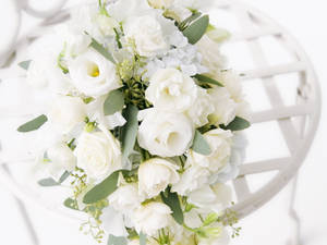 Bouquet Of Pure White Roses Wallpaper