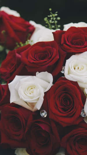 Bouquet Of Red And White Roses Wallpaper