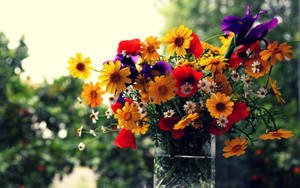 Bouquet Sunflowers In Vase Wallpaper